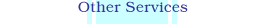 Other Services